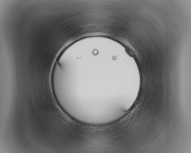 X0000112181181200909181427