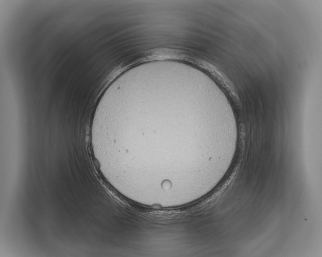 X0000112181185200909181427