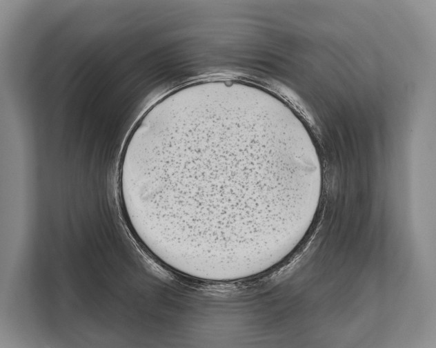 X0000112181186200909181427