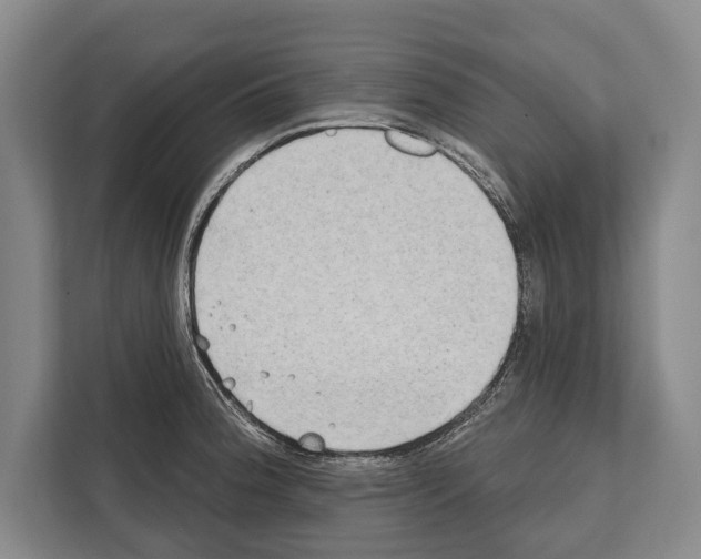 X0000112181188200909181427
