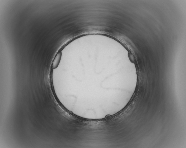 X0000112181189200909181427