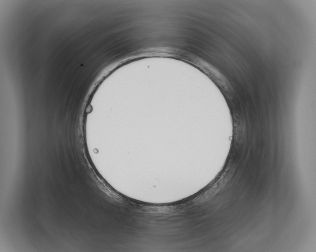 X0000112181192200909181427
