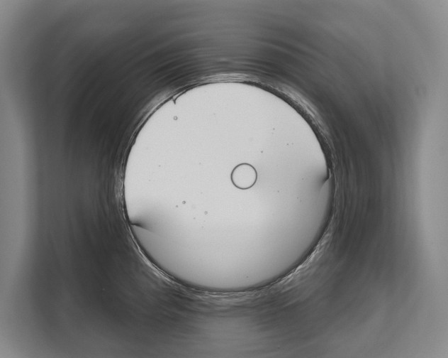 X0000112181193200909181427