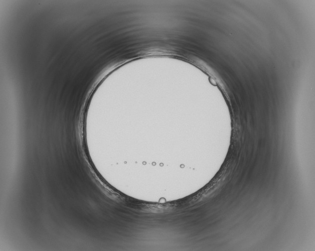 X0000112181195200909181427