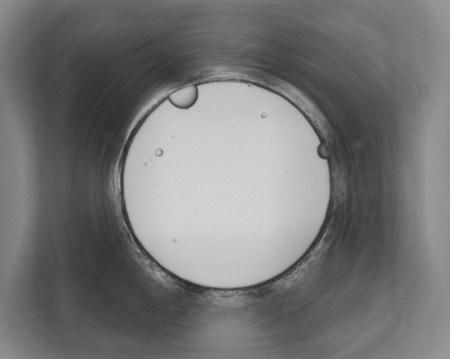 X0000112181198200909181427