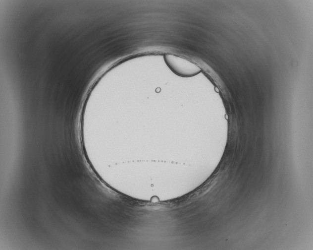 X0000112181199200909181427
