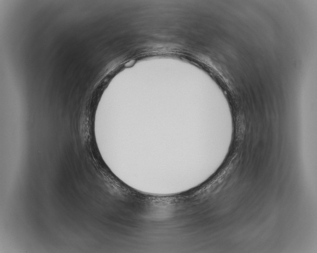 X0000112181211200909181426