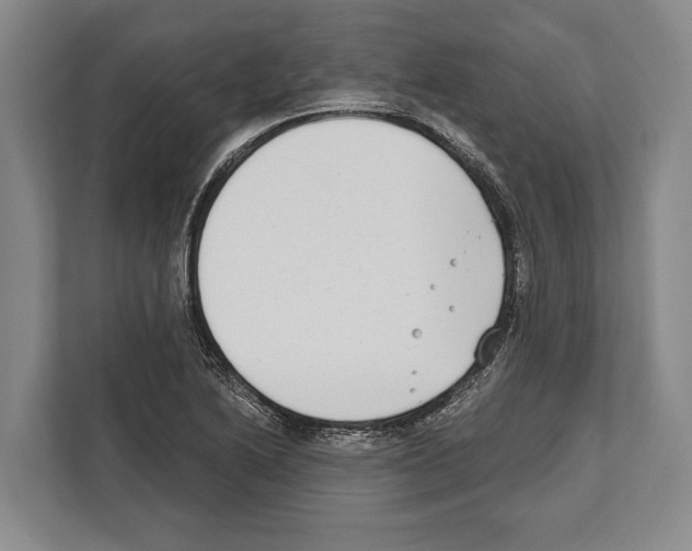 X0000112181222200909181427