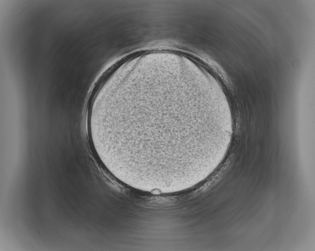 X0000112181224200909181427
