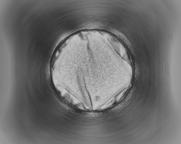 X0000112181226200909181427