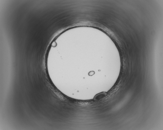 X0000112181230200909181427