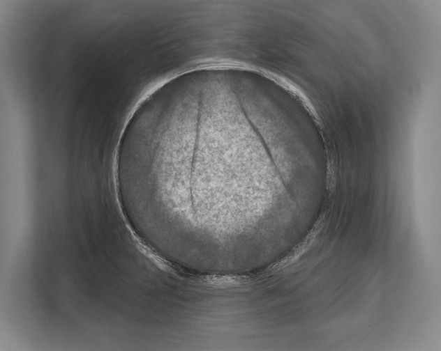X0000112181231200909181427