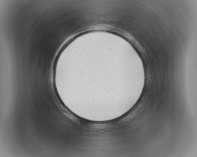 X0000112181232200909181427