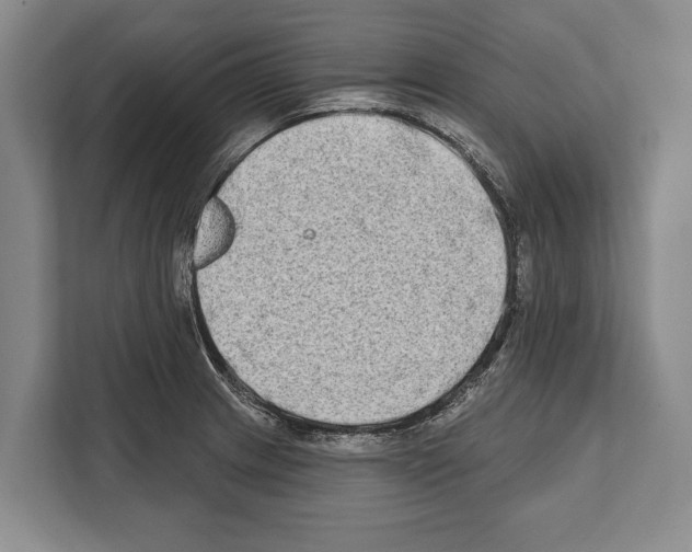 X0000112181233200909181427