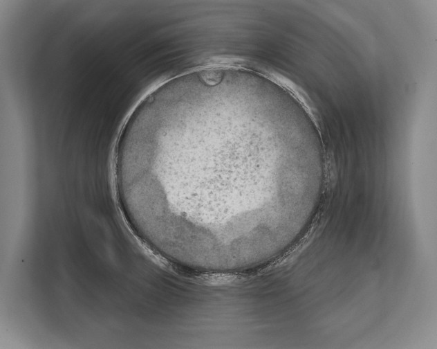 X0000112181235200909181427