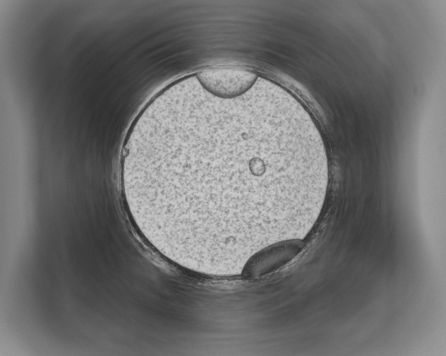 X0000112181236200909181427