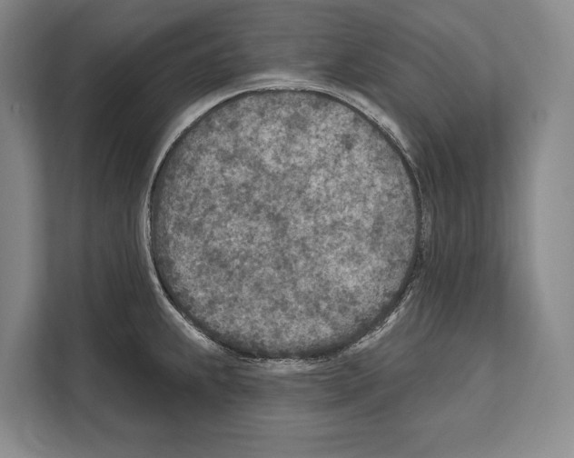 X0000112181239200909181427