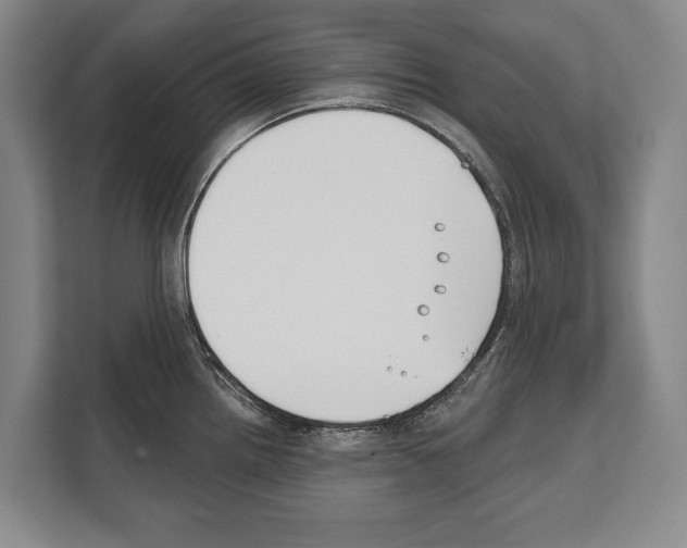 X0000112181242200909181427