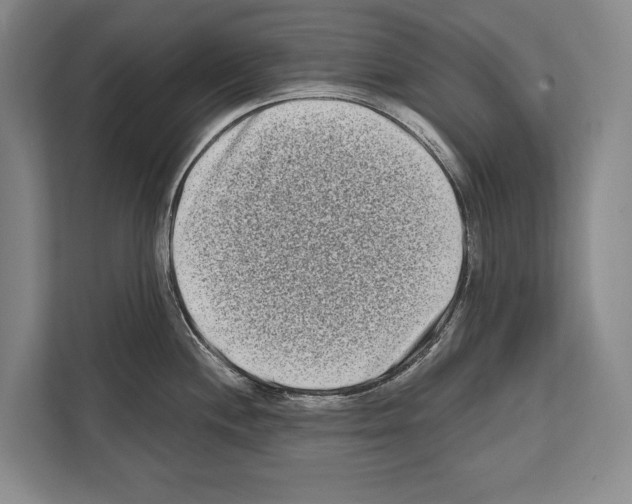 X0000112181244200909181427