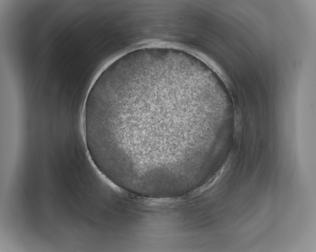 X0000112181247200909181427