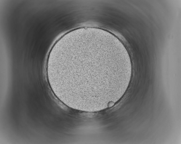 X0000112181248200909181427
