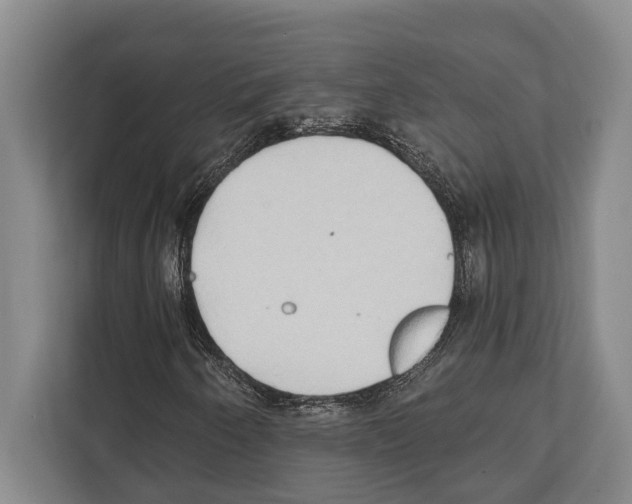 X0000112181250200909181426