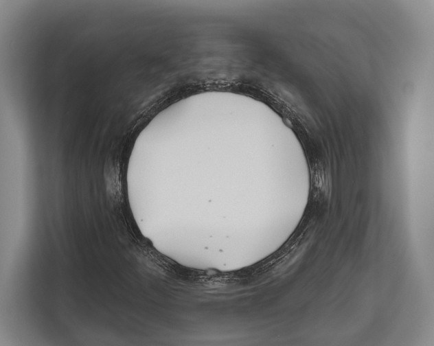 X0000112181252200909181426