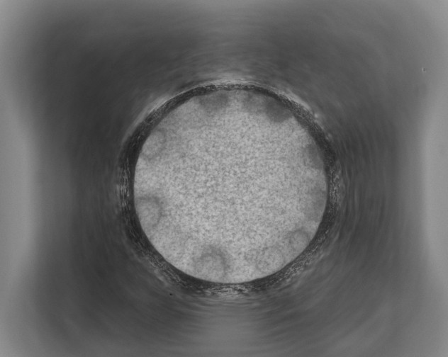 X0000112181255200909181426
