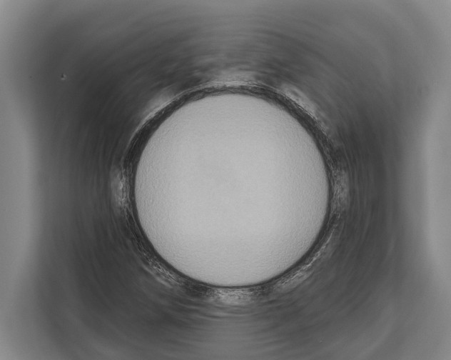 X0000112181258200909181426