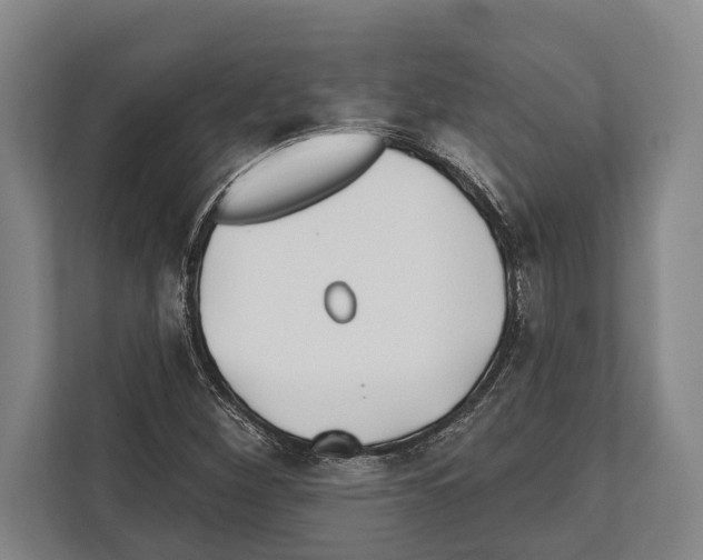 X0000112181260200909181426