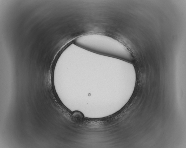 X0000112181268200909181426
