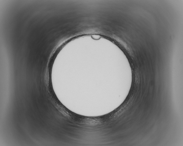 X0000112181270200909181426