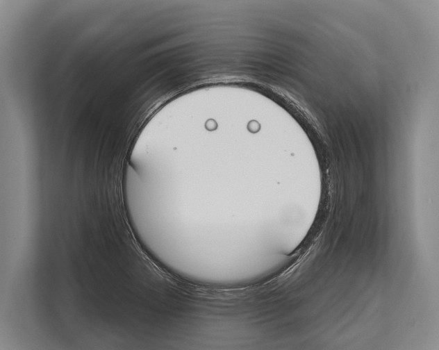 X0000112181273200909181426