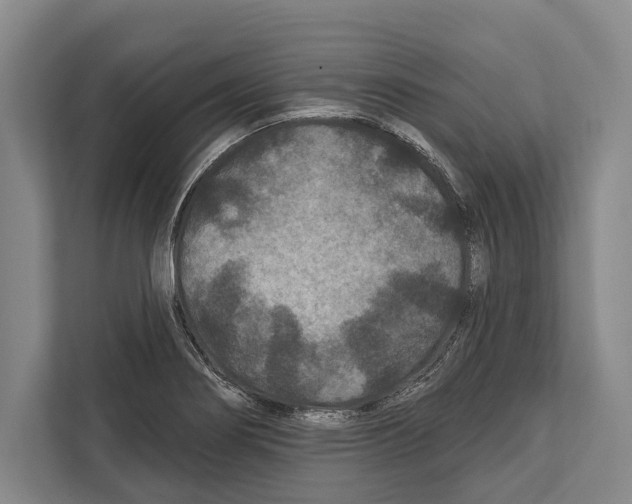 X0000112181274200909181426