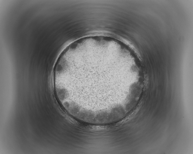 X0000112181275200909181426