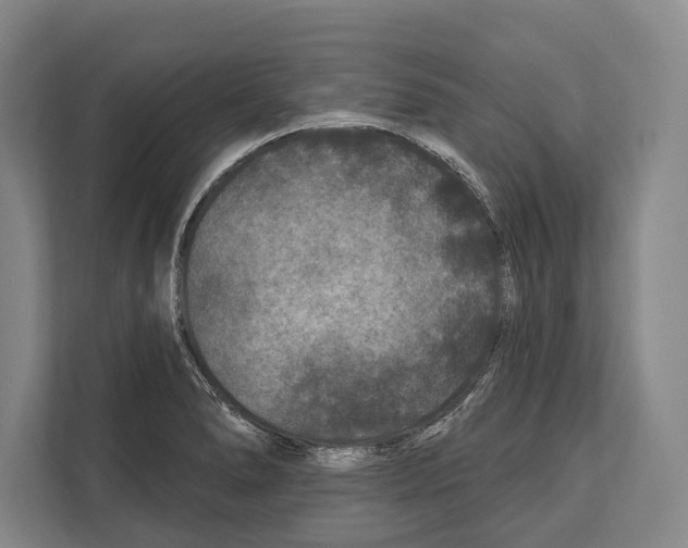 X0000112181278200909181426