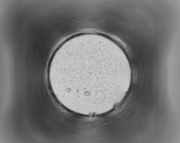 X0000112181279200909181426