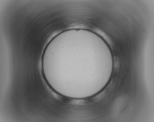 X0000112181282200909181426