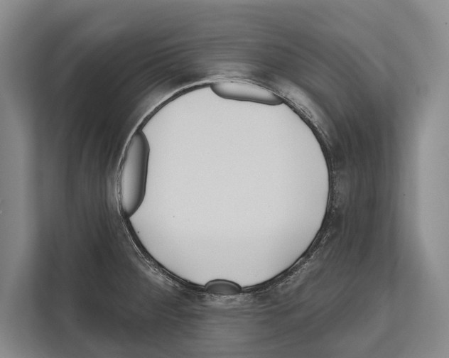 X0000112181284200909181426