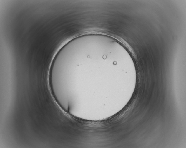 X0000112181285200909181426