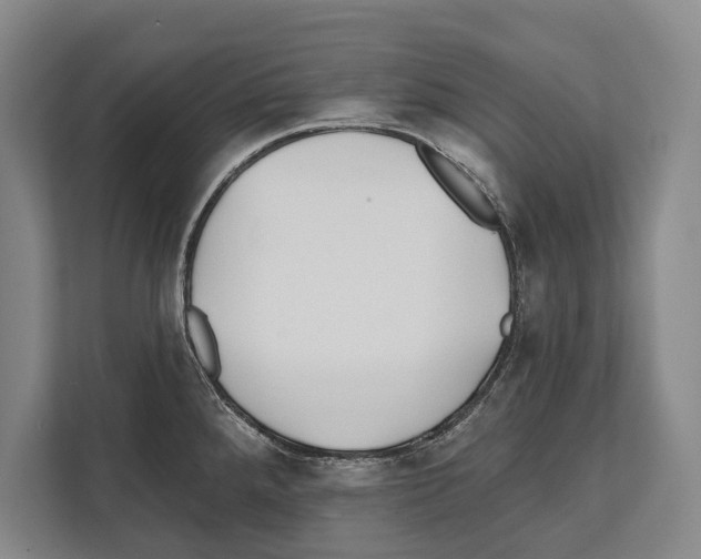 X0000112181288200909181426