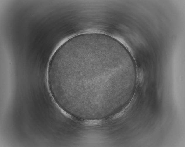 X0000112181294200909181426
