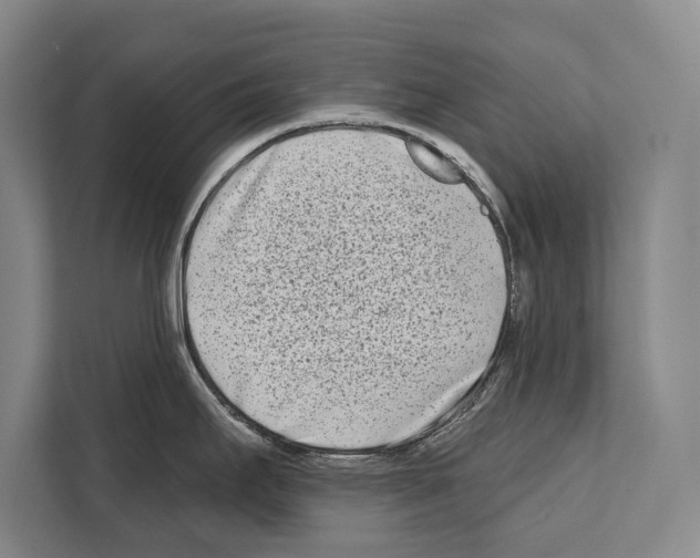 X0000112181295200909181426