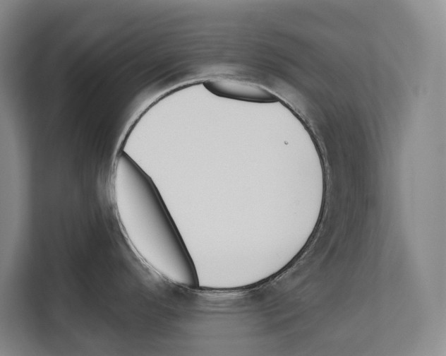 X0000112181296200909181426
