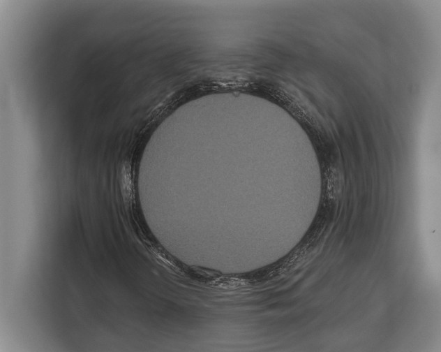 X0000112181298200909181425