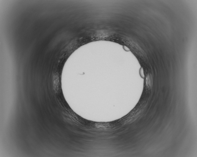 X0000112181299200909181425