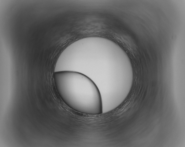 X0000112181300200909181425