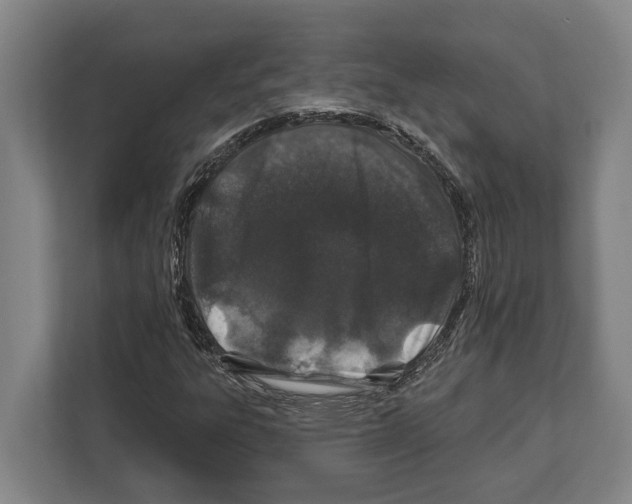 X0000112181303200909181425