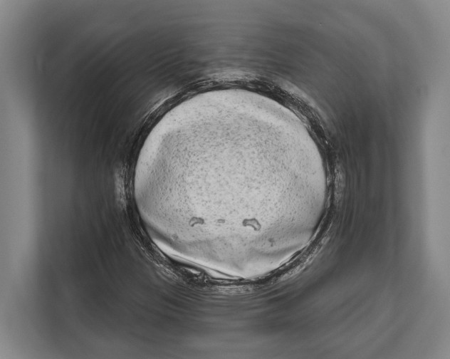 X0000112181305200909181425