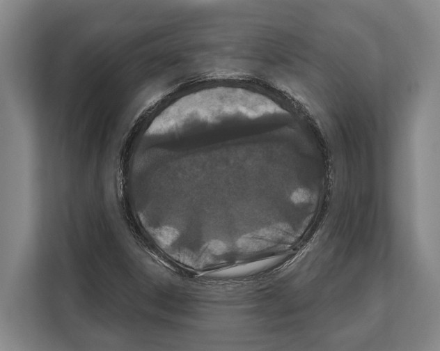 X0000112181306200909181425